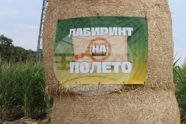 Добрич - "Ден на полето"