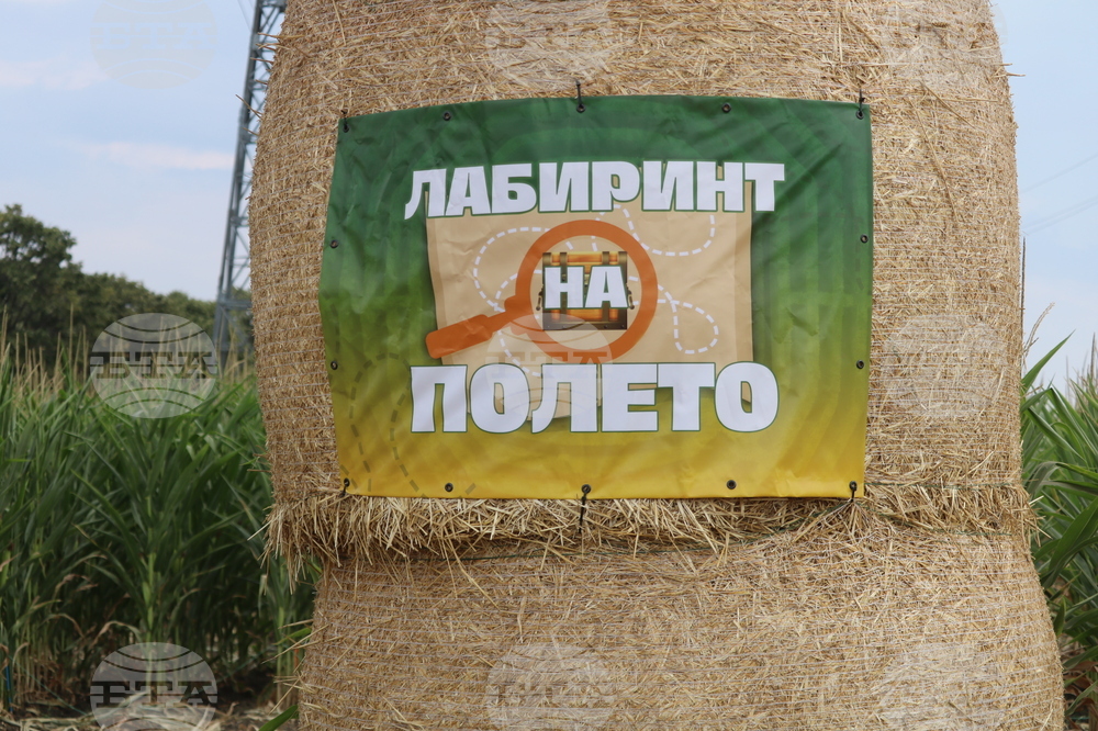 Добрич - "Ден на полето"