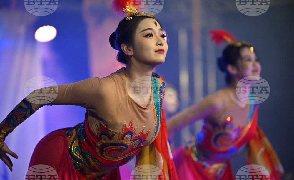 Разград - Панаир на киселото мляко - концерт