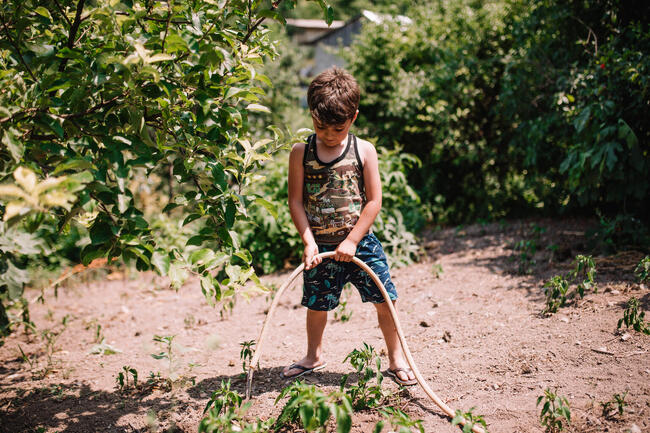УНИЦЕФ България: Нарастващите горещини в Европа и Централна Азия убиват близо 400 деца годишно - УНИЦЕФ 