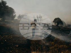 Снимка: УНИЦЕФ България