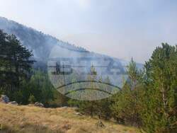 Снимка: Министерство на отбраната