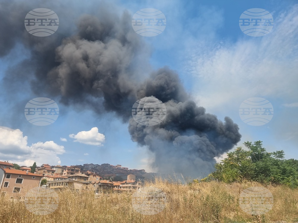 Authorities Prevent Wildfire in North Macedonia