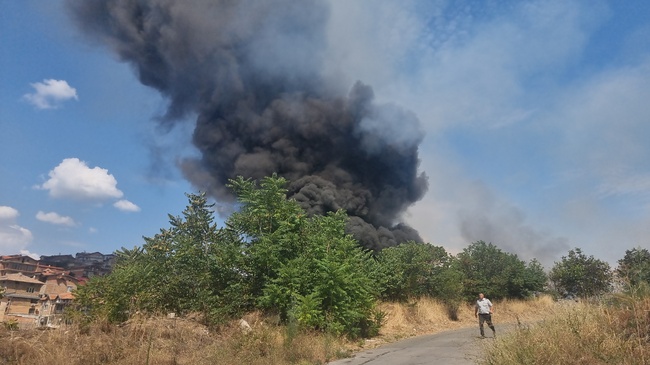 Пожар гори в землището на старозагорското село Пшеничево край автомагистрала "Тракия"