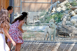 Варна - Зоопарк - топло време