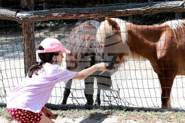 Варна - Зоопарк - топло време