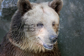 Варна - Зоопарк - топло време