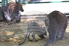 Варна - Зоопарк - топло време