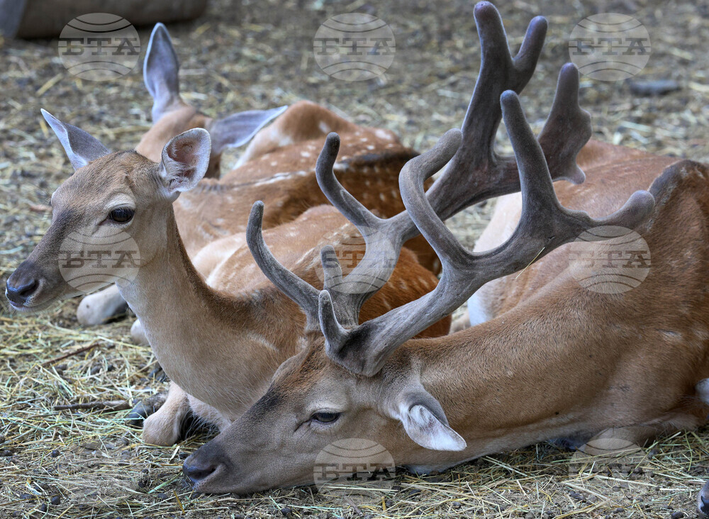 Варна - Зоопарк - топло време