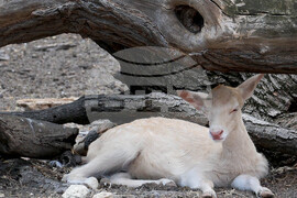 Варна - Зоопарк - топло време