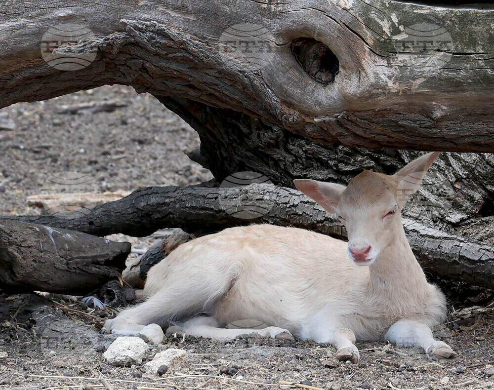 Варна - Зоопарк - топло време