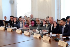 Парламент - Комисия по външна политика - заседание