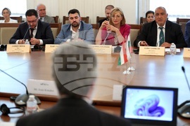 Парламент - Комисия по външна политика - заседание