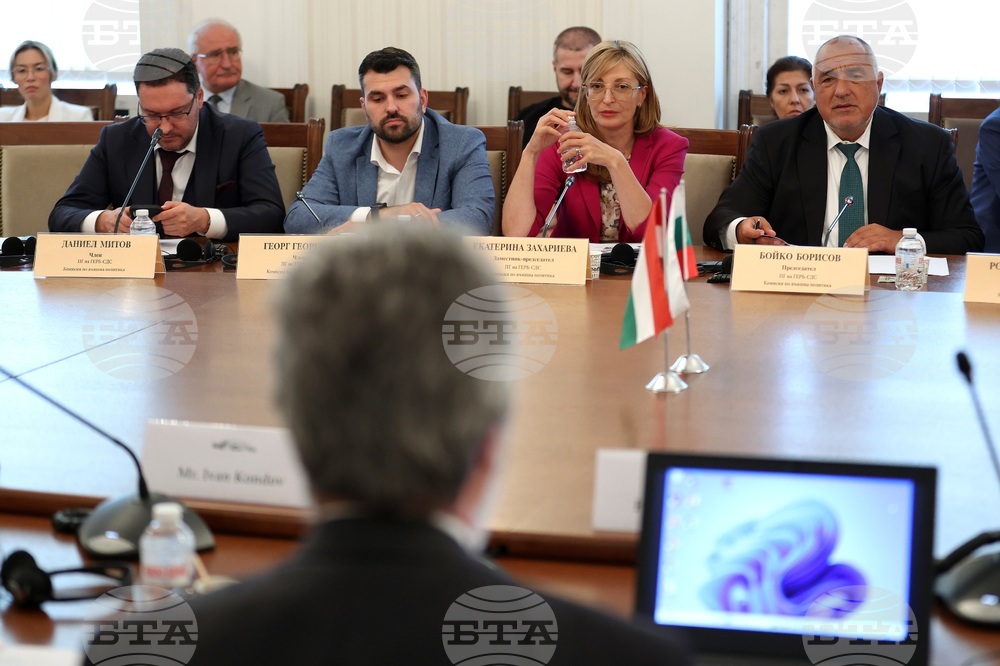 Парламент - Комисия по външна политика - заседание