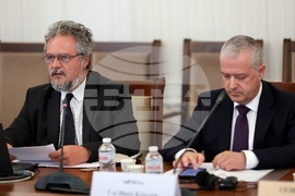 Парламент - Комисия по външна политика - заседание