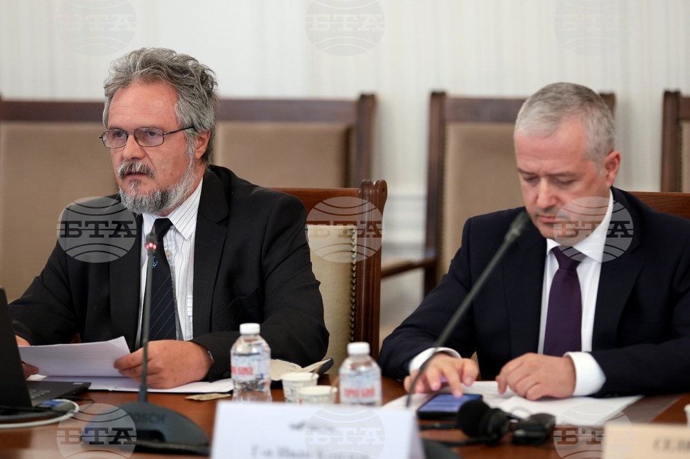 Парламент - Комисия по външна политика - заседание