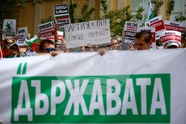 Протест в защита на Исторически парк