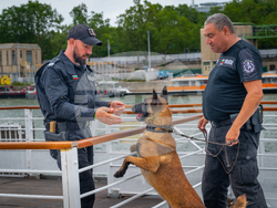 Снимка: МВР