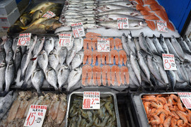 Варна - Рибна борса