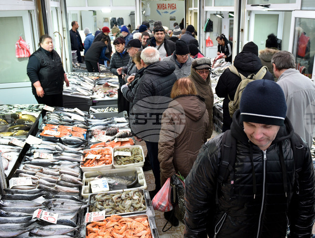 Варна - Рибна борса