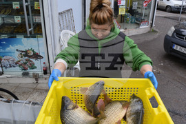 Варна - Рибна борса