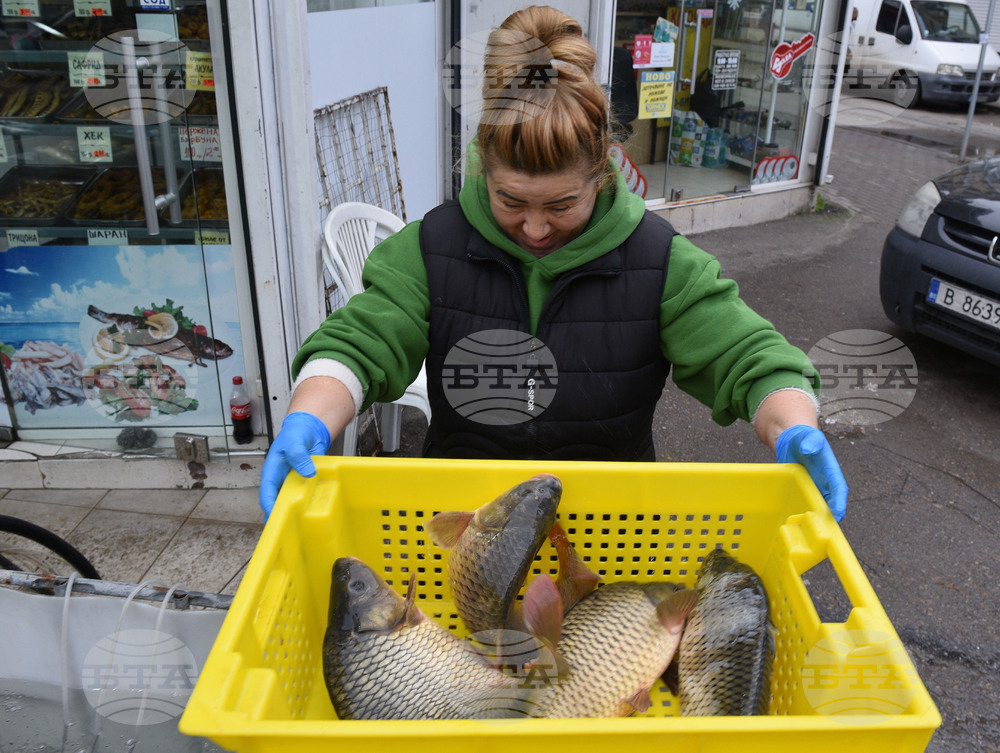 Варна - Рибна борса