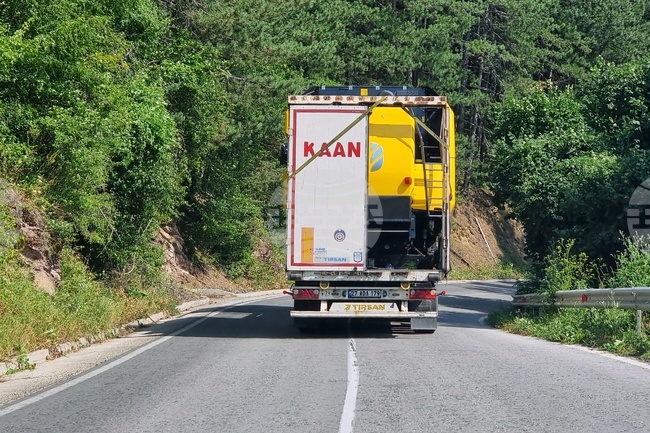 Проходът "Петрохан" ще е затворен за премахване на паднали дървета