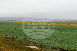 Село Ясеновец - снегозащита