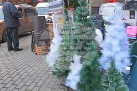 Варна - Коледни елхи