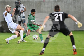 Разград - футбол - Лудогорец - Динамо (Минск)