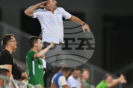 Разград - футбол - Лудогорец - Динамо (Минск)