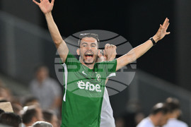 Разград - футбол - Лудогорец - Динамо (Минск)