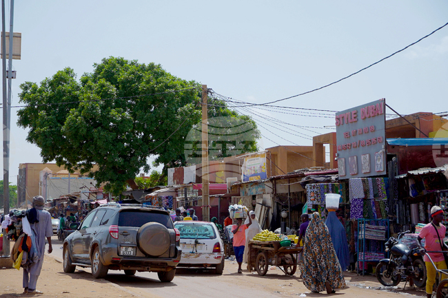 Австрийска гражданка бе отвлечена в Нигер