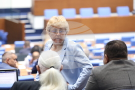 Народно събрание - заседание