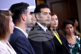 ПП -ДБ-СС - брифинг