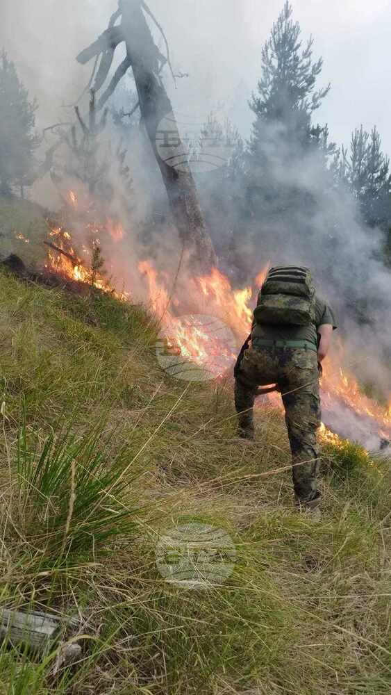 Министерство на отбраната: Военнослужещи от Трето бригадно командване – Благоевград участват в погасяването на пожара на българо-гръцката граница