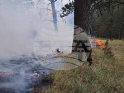 Снимка: Министерство на отбраната