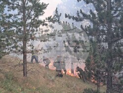 Снимка: Министерство на отбраната