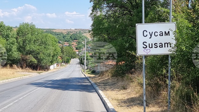 Avian Flu Outbreak Detected at Peacock Farm in Village in Haskovo Region