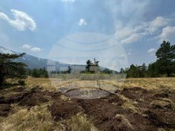 Снимка: Пресцентър МВР