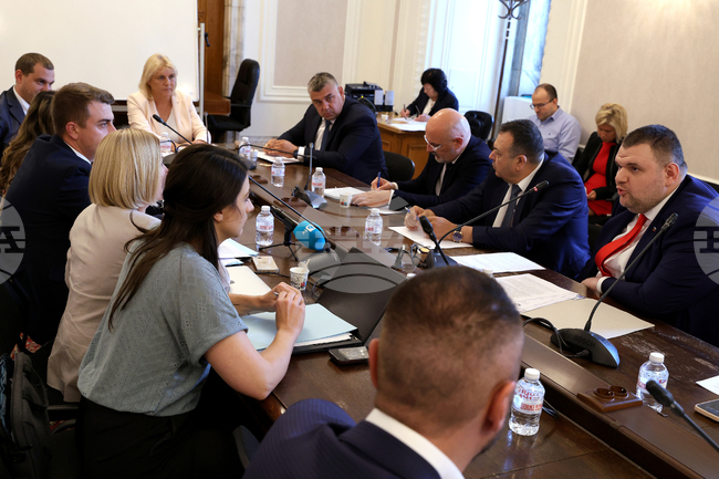 Народно събрание - Временна комисия - Мартин Божанов