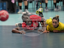 Paris Olympics Handball