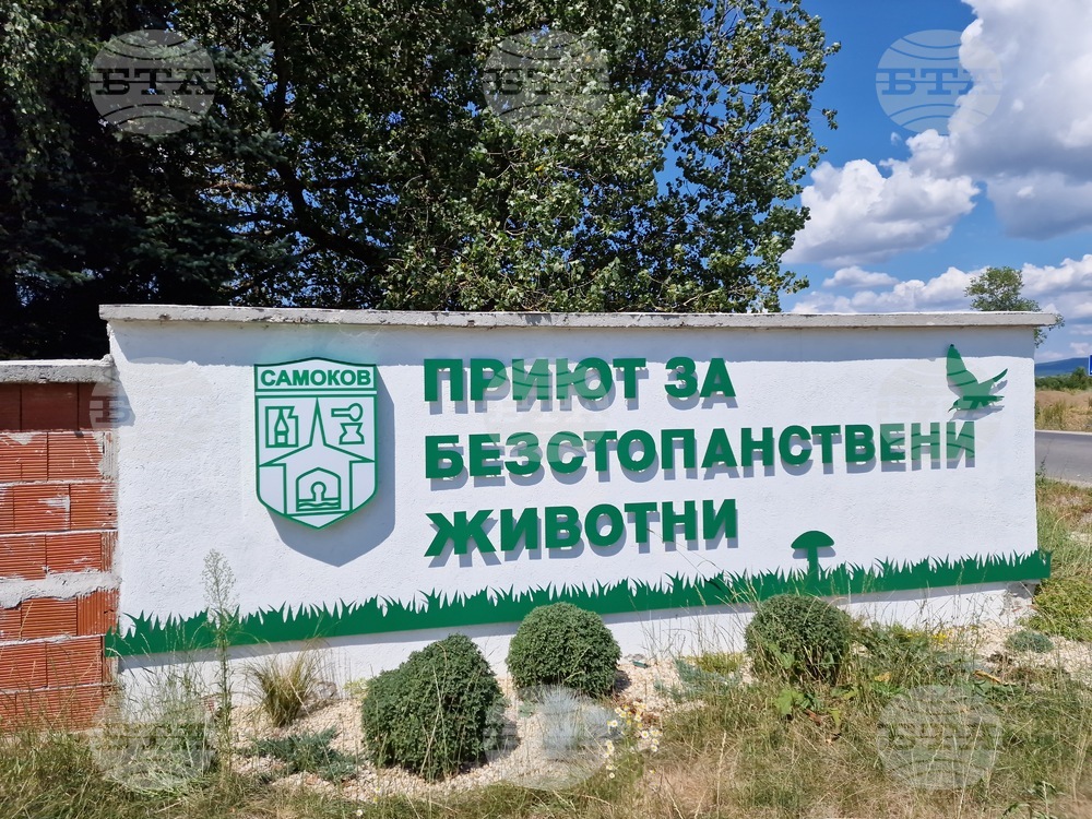 Самоков - Общински център за безстопанствени животни