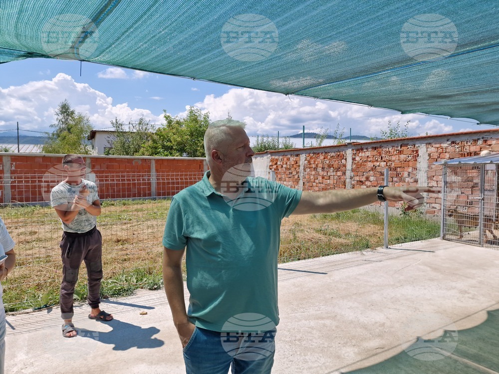 Самоков - Общински център за безстопанствени животни