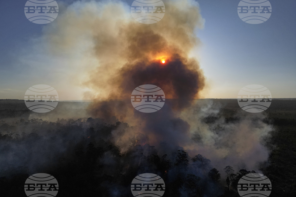 Сао Пауло обяви извънредно положение заради горски пожари