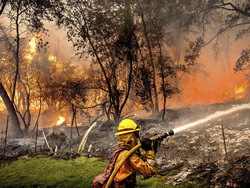 California Wildfires