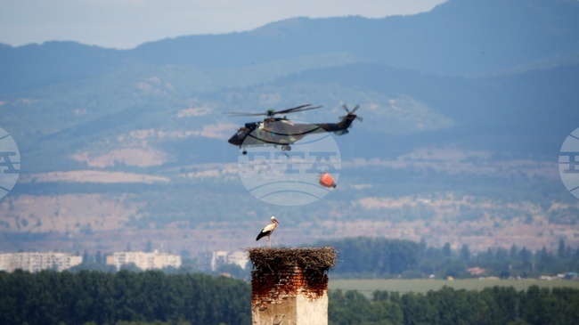 Cougar Helicopter Joins Firefighting Efforts Near Tlachene, Northwestern Bulgaria