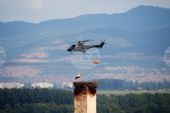 Cougar Helicopter Joins Firefighting Efforts Near Tlachene, Northwestern Bulgaria