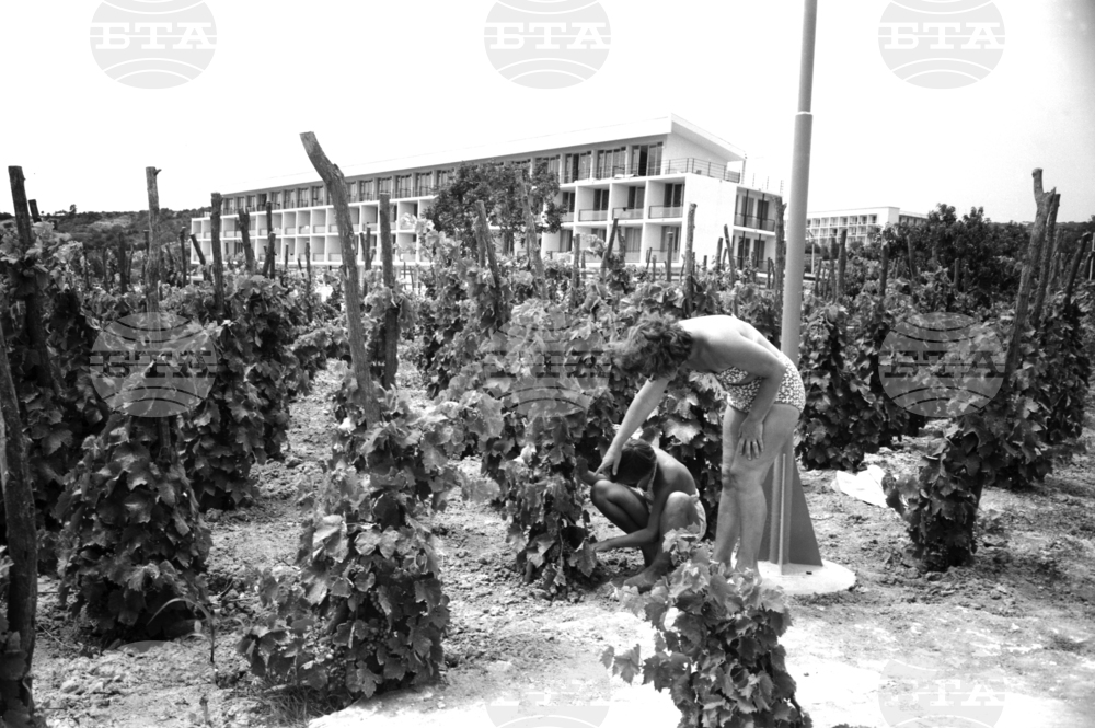 Откриване на Международния дом на журналистите във Варна през 1959 г.
