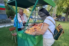 Село Гавраилово - празник "Златна праскова"
